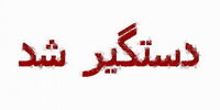 یکی از عاملان شهادت مامور نیروی انتظامی استان مرکزی دستگیر شد