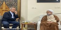 چرا آیت‌الله بیات زنجانی با پزشکیان و اعضای دولت دیدار نمی کند؟