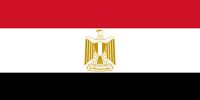 واکنش مصر به حادثه بالگرد رئیسی