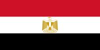 واکنش مصر به حادثه بالگرد رئیسی