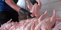 قیمت جدید مرغ اعلام شد 