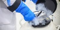 فریز تخمک دختران منوط به اجازه پدر!