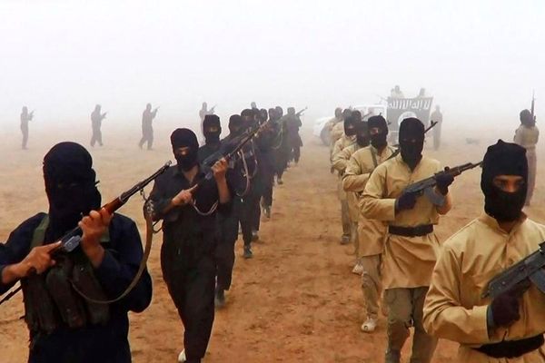 چرا داعش با دستور حملات ترامپ به نیجریه دوباره در کانون توجه قرار گرفت؟ | همه چیز هماهنگ شده بود