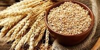 افزایش 15 درصدی قیمت غلات در جهان! / صندوق بین‌المللی پول هشدار داد