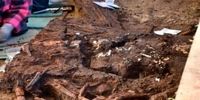 کشف عجیب استخوان‌های ۱۰هزار ساله انسان!
