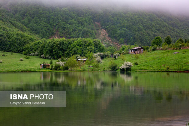 62300398_seyyed-vahid-hosseini-roudbar-20-