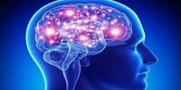 ابتلا به کرونا چه تاثیری بر سن مغز شما می‌گذارد؟