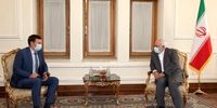 دیدار رئیس هیئت مذاکره کننده اوکراینی با ظریف 