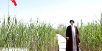 در سوگ ابراهیم رئیسی