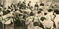 روایت تکان‌دهنده از تهران ۶۱ سال پیش/  ۱۵ هزار معتاد در پایتخت
