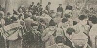 روایت تکان‌دهنده از تهران ۶۱ سال پیش/  ۱۵ هزار معتاد در پایتخت