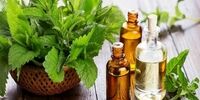 خوردن عرق نعناع برای این افراد ممنوع شد!