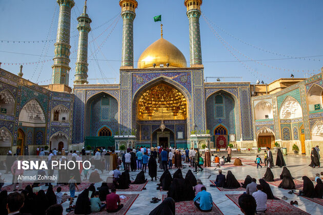 61643761_احمد-ظهرابی-14