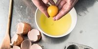 تخم مرغ خطر بیماری قلبی را افزایش می‌ دهد؟
