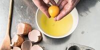 تخم مرغ خطر بیماری قلبی را افزایش می‌ دهد؟
