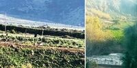 گاودزدی نظامیان رژیم صهیونیستی از لبنان
