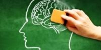 ۱۲ اقدام برای کاهش خطر ابتلا به زوال عقل