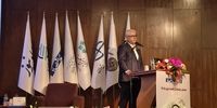 زنگ خطر در اقتصاد دیجیتال به روایت چیت‌ساز | رشد اقتصاد دیجیتال در ایران، ناشی از توسعه اقتصاد پلتفرمی بوده نه زیرساختی! | امنیت یکی از ارکان اصلی توسعه اقتصاد دیجیتال است 