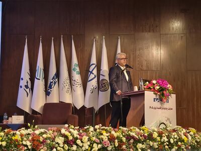 زنگ خطر در اقتصاد دیجیتال به روایت چیت‌ساز | رشد اقتصاد دیجیتال در ایران، ناشی از توسعه اقتصاد پلتفرمی بوده نه زیرساختی! | امنیت یکی از ارکان اصلی توسعه اقتصاد دیجیتال است 