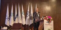 زنگ خطر در اقتصاد دیجیتال به روایت چیت‌ساز | رشد اقتصاد دیجیتال در ایران، ناشی از توسعه اقتصاد پلتفرمی بوده نه زیرساختی! | امنیت یکی از ارکان اصلی توسعه اقتصاد دیجیتال است 