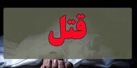 قتل هولناک مادر به دست دختر جوان/ قاتل جسد مادرش را با چمدان به اداره پلیس برد!