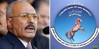حزب علی عبدالله صالح ورود به فاز نظامی علیه حوثی ها را اعلام کرد