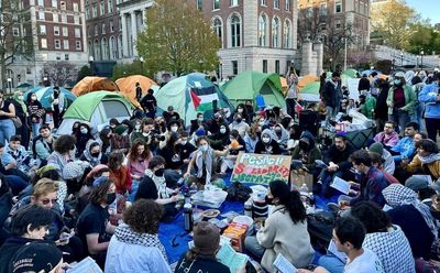 خیزش دانشجویان آمریکا ترامپ را عصبانی کرد: "همین حالا اعتراضات را متوقف کنید" 3
