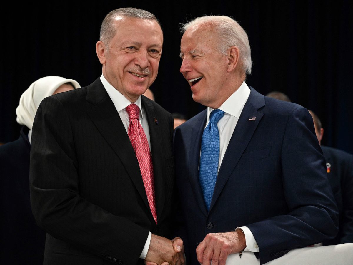 پاشنه آشیل اردوغان / چرا تعامل با ترکیه برای آمریکا جذاب است؟