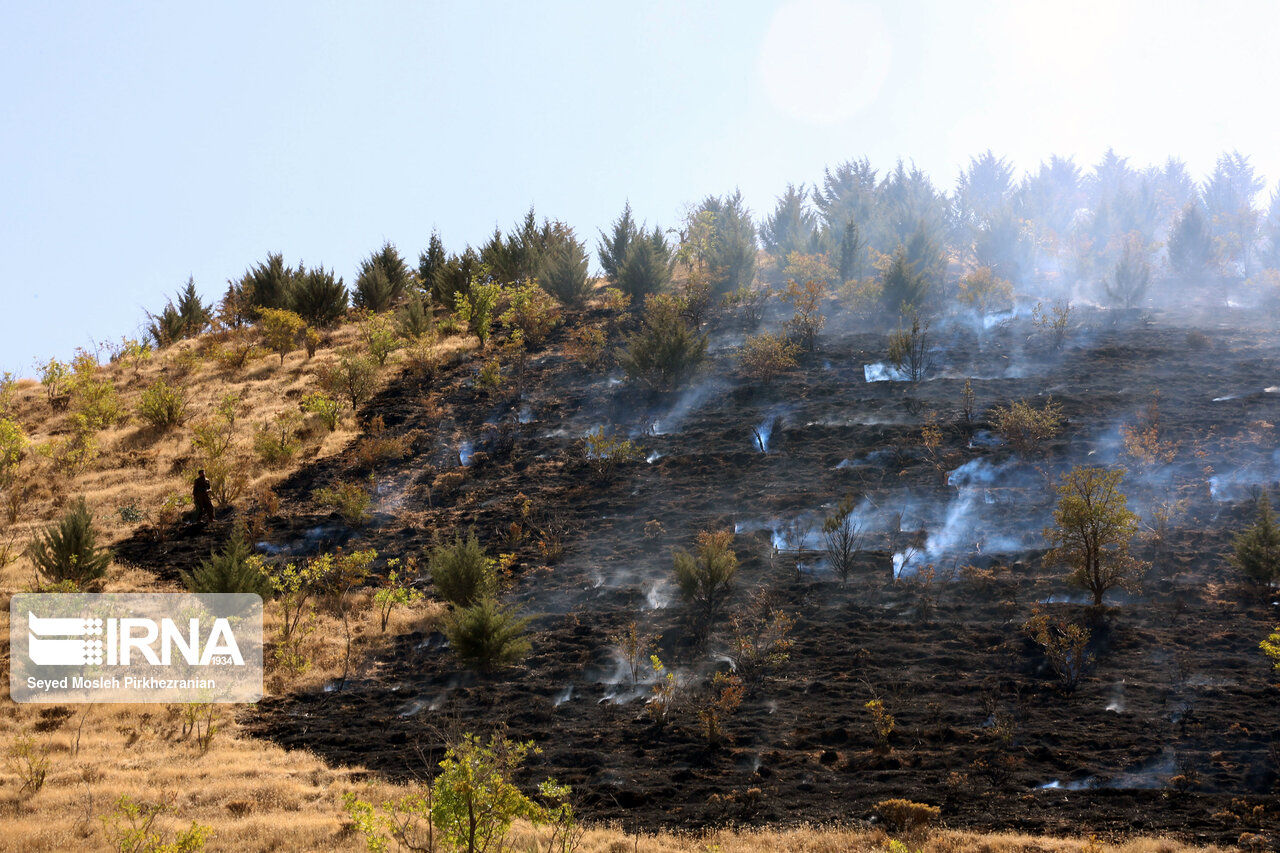 آتش به جان پارک جنگلی آبیدر سنندج افتاد+عکس