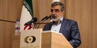 عبور ذخایر اورانیوم ۲۰ درصدی ایران از ۲۱۰ کیلو