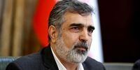 خبر مهم کمالوندی از مذاکره با روسیه درباره نیروگاه اتمی بوشهر