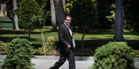 وزیر پولدار دولت روحانی؛ عیدی نمی‌دهم /فیلم