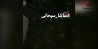 فیلم کتک‌خوردن آقازاده جنجالی در آلمان