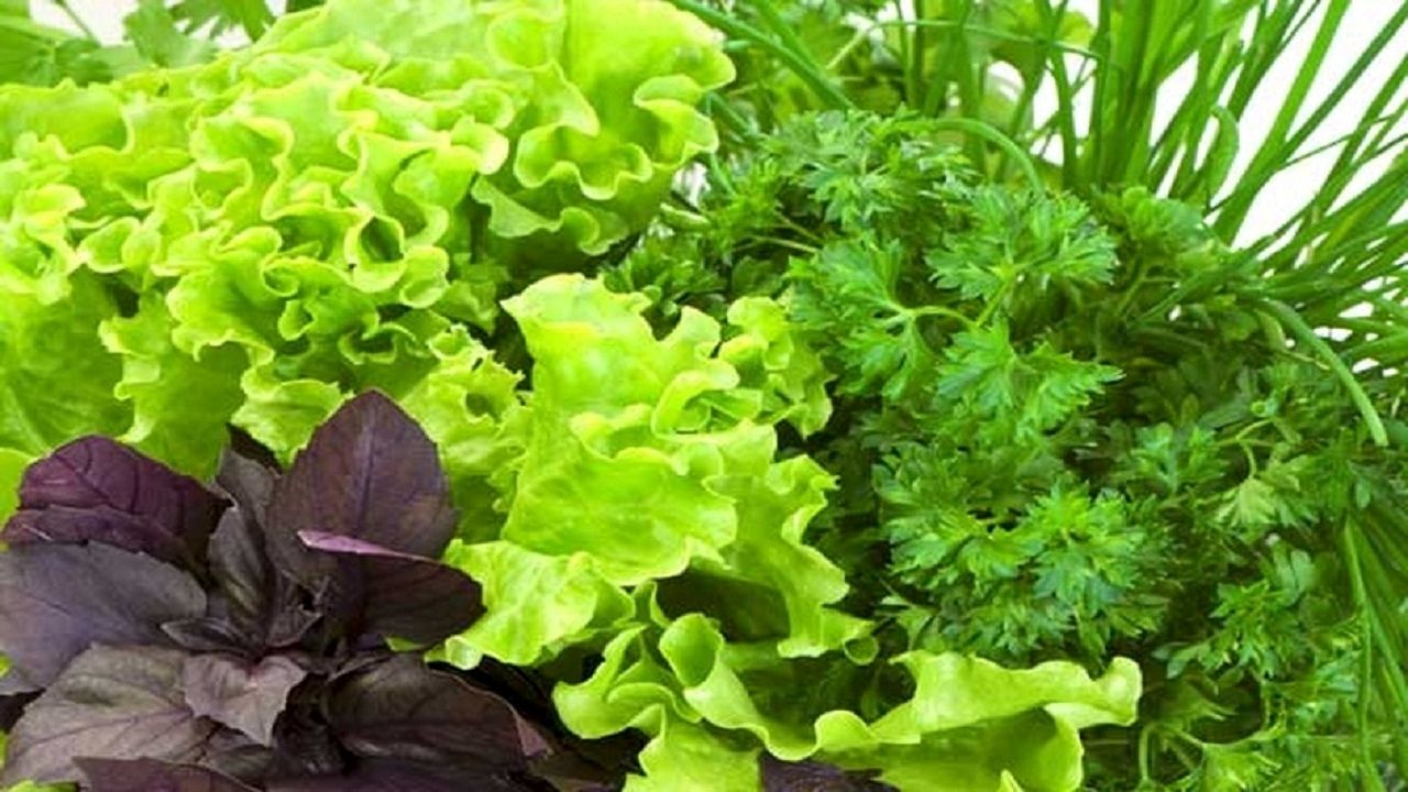 لیست بهترین سبزی ها که برای سلامتی معجزه می کنند 