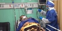 رشد ۱۷۵ درصدی نرخ ابتلای روزانه کرونا در کشور با ورود اومیکرون