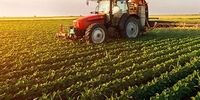 بحران آب و آینده کشاورزی در ایران | راه نجات، پذیرش یک تغییر اجباری است | ضرورت اجرای یک الگوی ترکیبی هوشمند