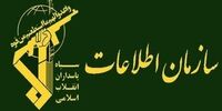 شناسایی یک شبکه ارتشا / یک مدیر ارشد شهرداری کرج دستگیر شد