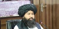 معیار عجیب امارت اسلامی برای اعطای مدرک تحصیلی؛ سواد لازم نیست
