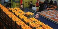 چه خبر از میوه شب عید؟ 