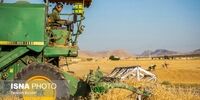 برداشت اولین گندم در جنوب کشور