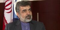 جزئیات آغاز نصب دوربین‌های آژانس در سایت کرج