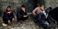 جمع آوری معتادان متجاهر و کارتن خواب ها از هرندی/چه اطلاعاتی بر روی سامانه شفافیت شهرداری بارگذاری می شود؟