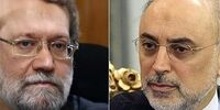 پیام علی لاریجانی به صالحی درپی فوت برادرش