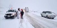 جاده های روستایی طرقبه شاندیز مسدود شد / چندین خودرو در برف گرفتار شدند
