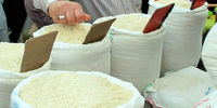 قیمت این برنج کیلویی 315 هزار تومان است!