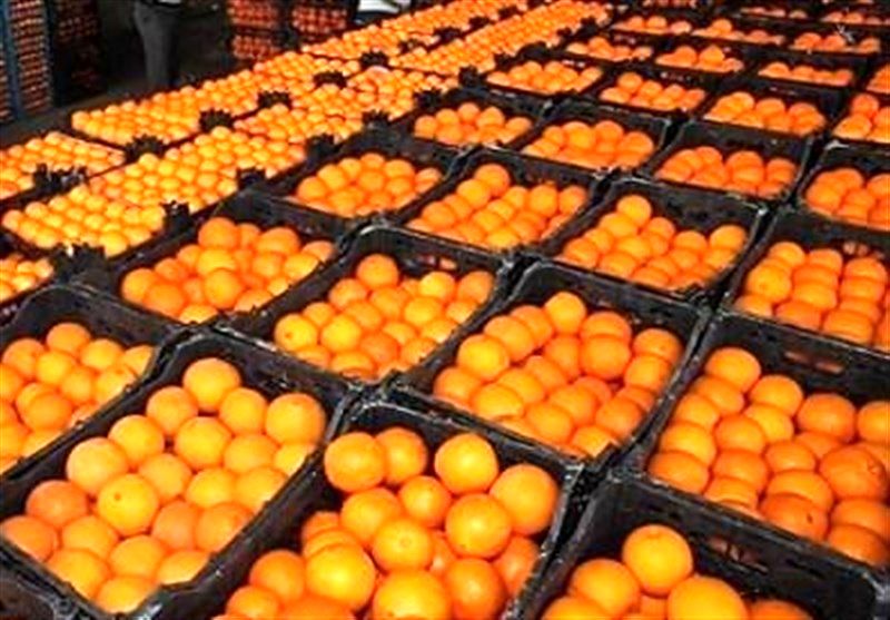 هشدار در مورد پرتقال های خونی فعلی بازار / رنگ آمیزی با گاز