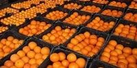 هشدار در مورد پرتقال های خونی فعلی بازار / رنگ آمیزی با گاز