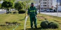 بحران بزرگ در پایتخت؛ آبیاری فضای سبز با شلنگ در روزهای بی‌آبی | شهرداری پاسخگو نیست