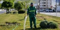 بحران بزرگ در پایتخت؛ آبیاری فضای سبز با شلنگ در روزهای بی‌آبی | شهرداری پاسخگو نیست