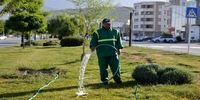 بحران بزرگ در پایتخت؛ آبیاری فضای سبز با شلنگ در روزهای بی‌آبی | شهرداری پاسخگو نیست